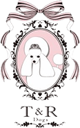 T&R Dogs│名古屋市中村区にあるトリミングサロン
