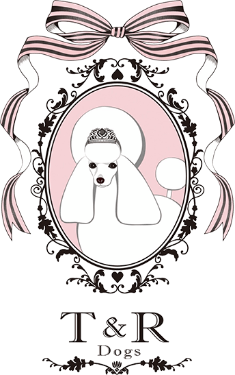 T&R Dogs│名古屋市中村区にあるトリミングサロン