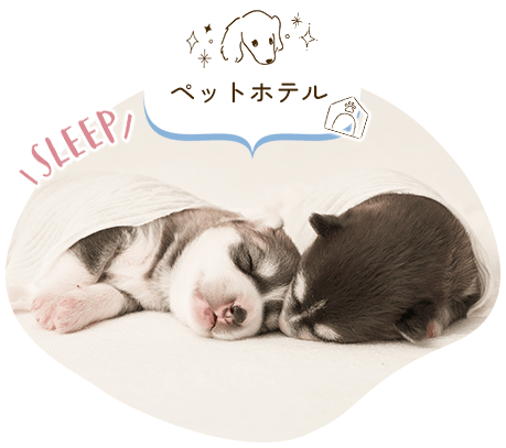 ペットホテル